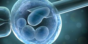 fertilizacion-in-vitro1